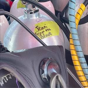 Meet your Posher, Jenni